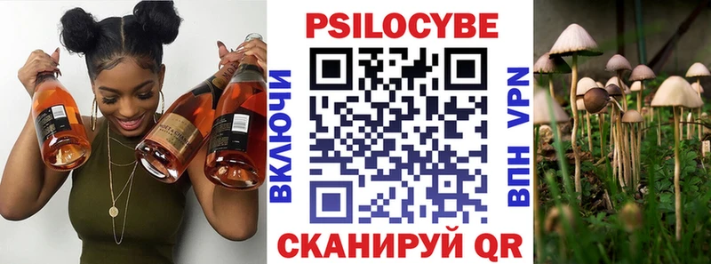 цены наркотик Краснодар Галлюциногенные грибы Cubensis