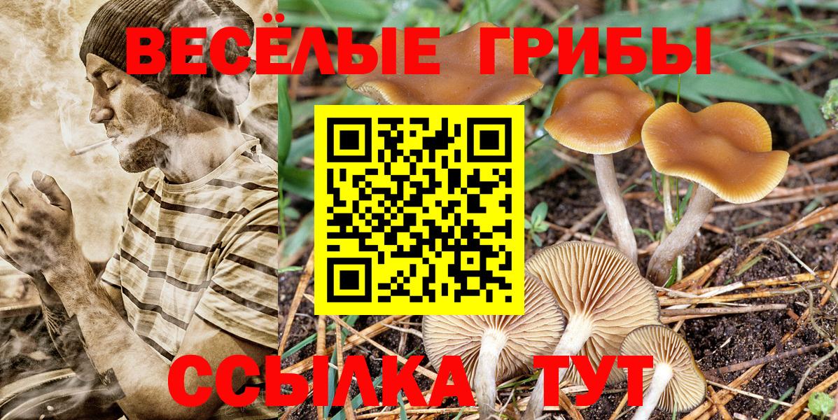 Краснодар  Галлюциногенные грибы мухоморы  Вход с VPN 